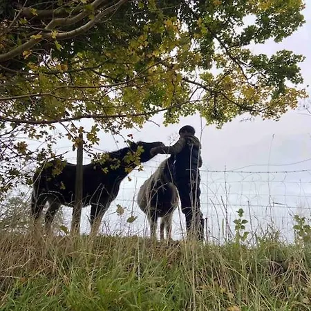 La Chamarg 1 Daire Villers-sur-Mer